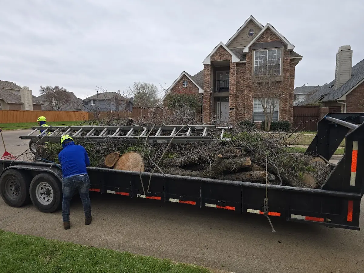 Expert Crown Reduction with proper safety equipment in Forestville